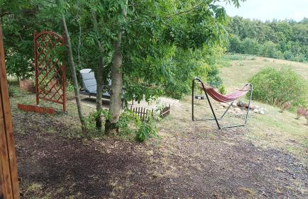 Zielenina Leśny Domek - Foto 40