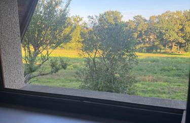 Studio indépendant - Foto 13