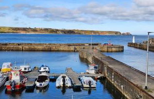 The Three Kings Inn - Foto 40