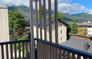 stella alpina - Foto 6