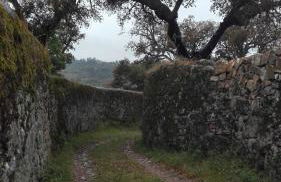 Casa da Rosa - Foto 28