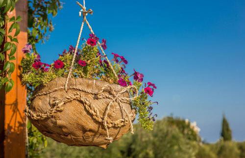 House Marija - Foto 58