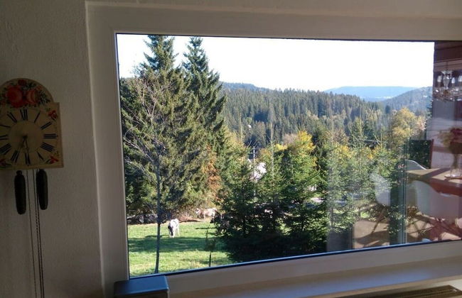 Pine Cones in the Haslehaus - Foto 37