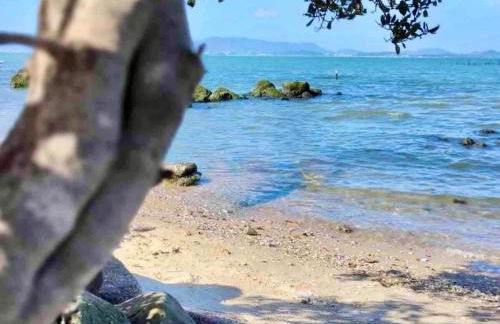 Brisas do Oceano - Photo 12