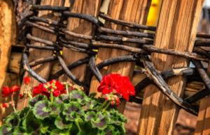 Walderhof Natz - Foto 40