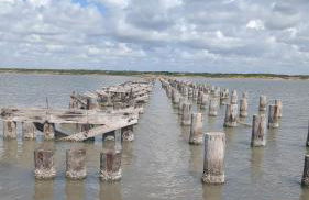 Cozy B- condo in charming Corpus Christi with WiFi, AC near Laguna Madre - Foto 27