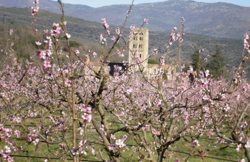 Catalane 412, ideale rando - Foto 10