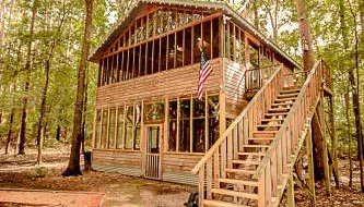 The Tree House - Foto 2