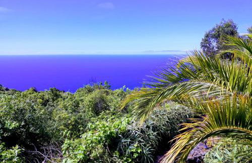 Finca El Lance - Foto 36