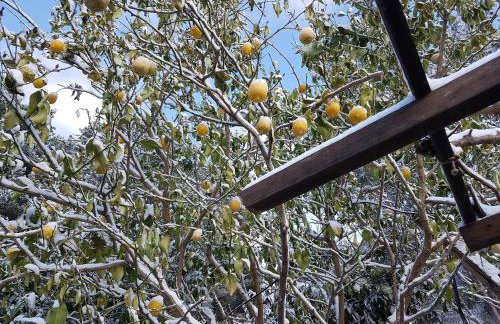 Apartments Villa Hansal - Photo 25