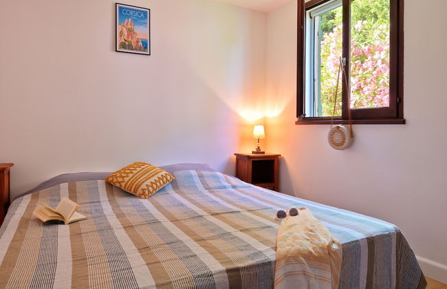 Pinea Mare - Foto 20