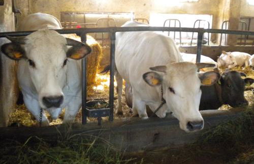 Agriturismo La Dimora Del Contadino - Photo 47