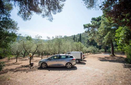 Casa Nocella a Bagnaia - Goelba - Foto 33