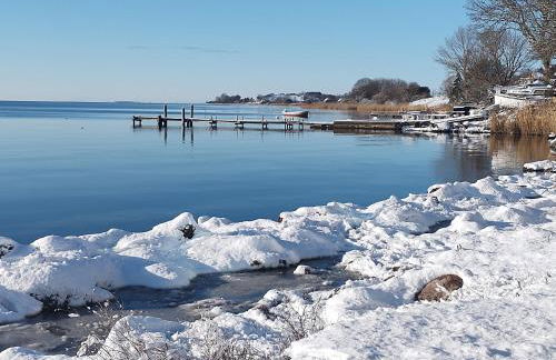 Chalet Möwenblick Rügen mit Meerblick, Sauna und Kamin - Foto 4