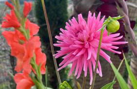 La Paratá Suites Mojácar - Foto 36