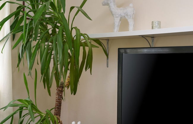 Villa Andu Zadarvillas - Foto 19