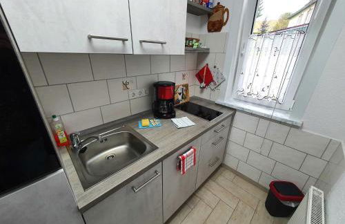 Ferienhaus Harztraum - Foto 14