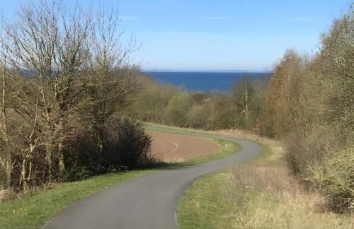 Carpe diem - Foto 15