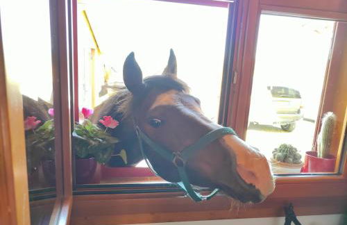 Azienda agricola Panorama - Foto 17