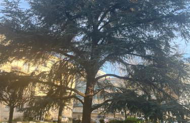 O'Rits Paris - Magnifique appartement proche Paris - Foto 23