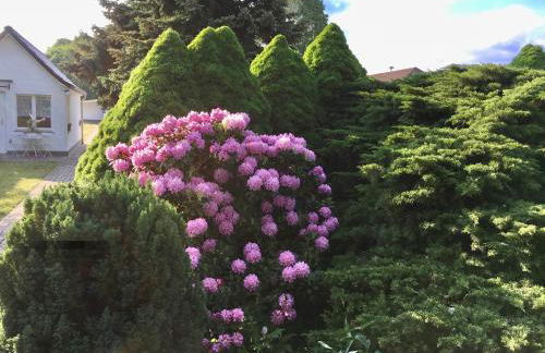 Ferienhaus Schmidt - Foto 15