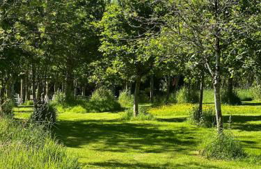 Devon Country Retreat The Linhay at Collaton Farm - Foto 37