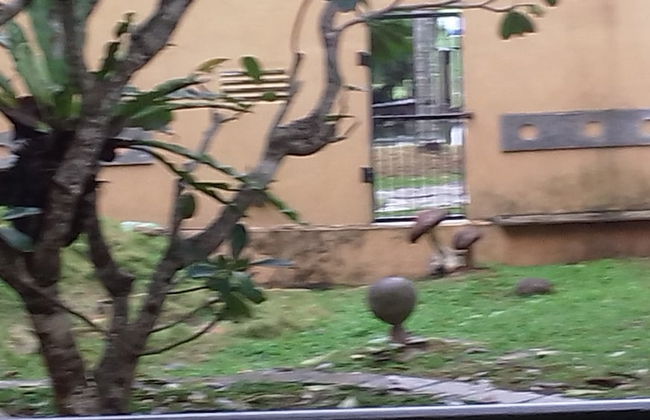 Lakeside Hybrid Villa - Foto 7