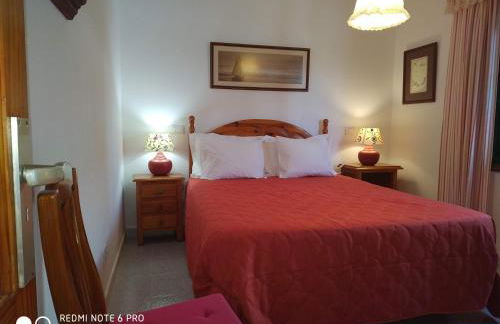 Caracola azul - Foto 21