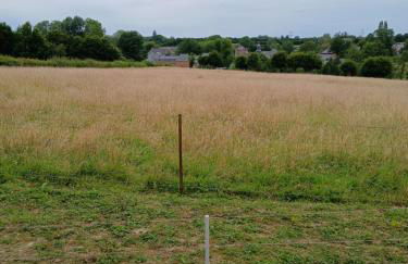 la clé du bouton d'or - Foto 17