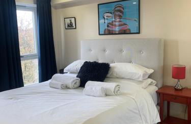 2 Bedroom Chelsea Apartment - Foto 8