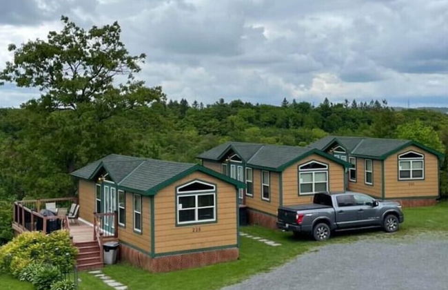 Parc Octopus - Foto 44