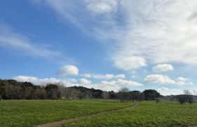 La casa di nonna Ottorina - Foto 33