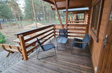 Leśna Przystań Borsk - Foto 10