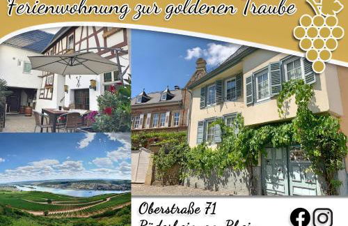 Fewo Zur Goldenen Traube - Foto 64