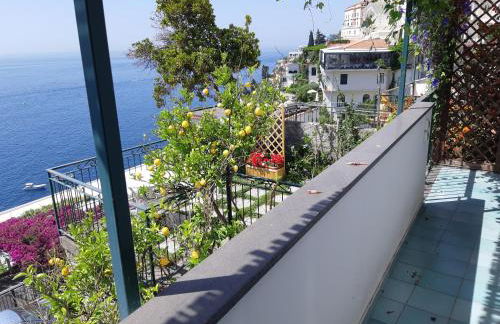 Amalfi Blue Flowers A - Foto 12