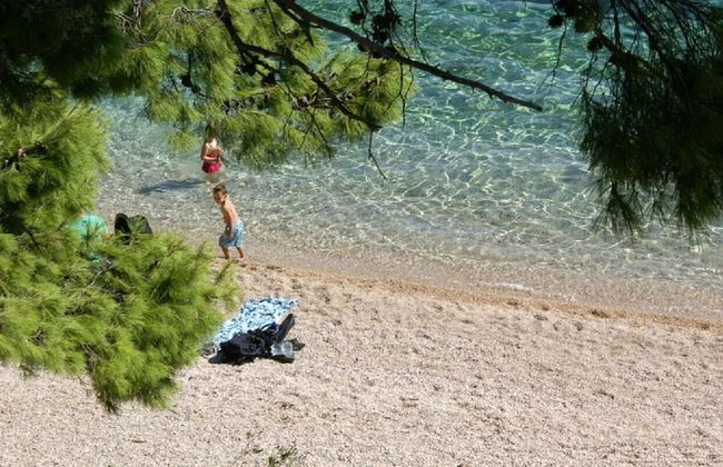 Neve - 100 m From Pebble Beach - A1 - Photo 9