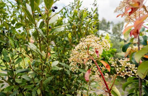 Villa Podere 109 - BioWine - Foto 127