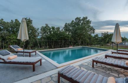 Modern villa Bibali Istra with pool in Buje - Foto 2