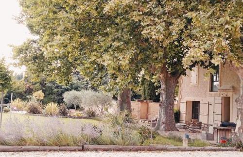 Mas de la Finière - Foto 1