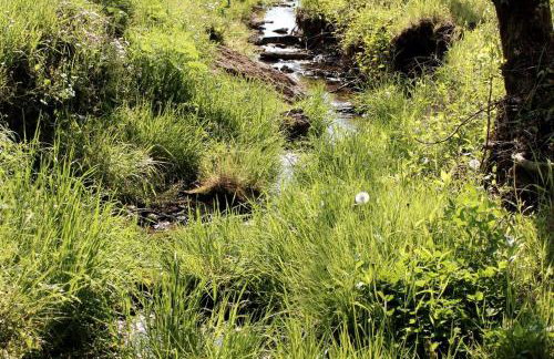 Bourbon Barrel Cottages #3 on Ky Bourbon Trail - Foto 12