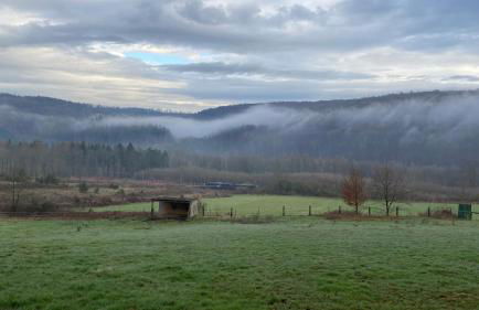 Charaktervolle Whg mit Parkplatz nähe Kassel - Foto 35