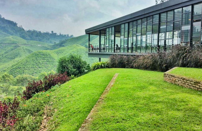 Excursion aux Cameron Highlands - Photo 4