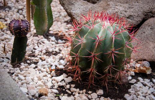 The House of Janus Luxury & Design Stay near Rome - Foto 80