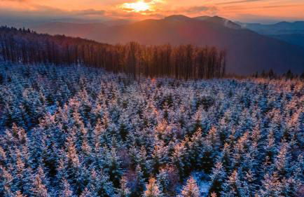 Ferienhaus am Südwall links - Foto 41