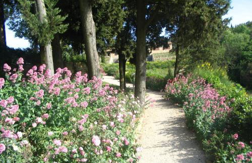 Podere La Casetta - Casa di Campagna - Foto 35
