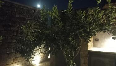 Nido sul mare - Foto 4