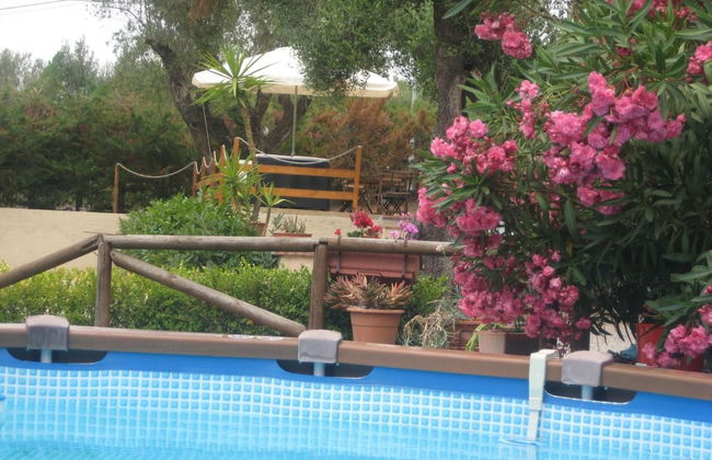 Residence San Antonio - Foto 25