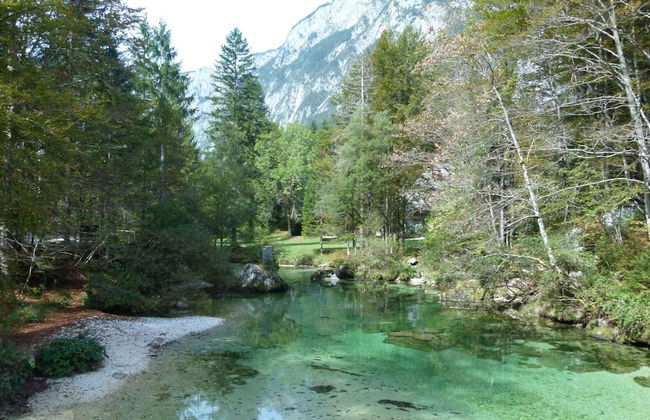 Balmy Apartment in Bohinjsko Jezero near Lake - Foto 17