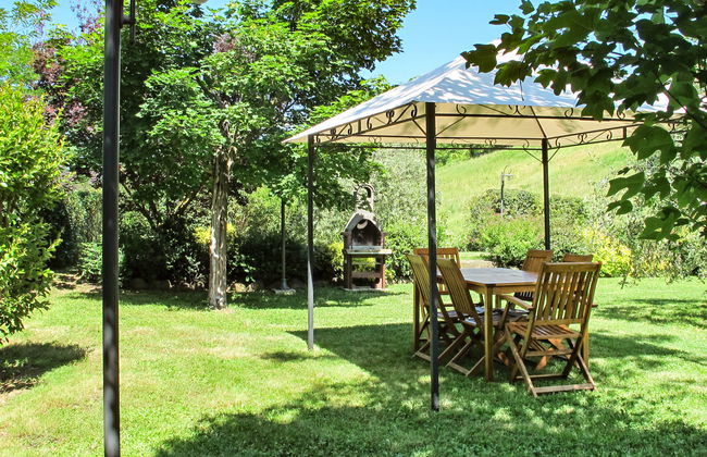 Corbezzolo - Foto 23