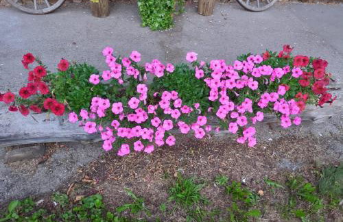 Schwarzwaldferienwohnung Oberle - Foto 12